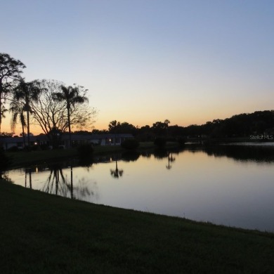 Hoping to live in a home immersed in Florida's natural beauty?
 on Kings Point Executive Golf Course in Florida - for sale on GolfHomes.com, golf home, golf lot