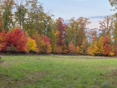 Stunning 51+ Acre Hunting Property - Fully Equipped! This on Forest Dunes Golf Club in Michigan - for sale on GolfHomes.com, golf home, golf lot