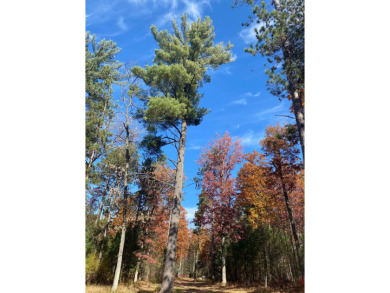 Stunning 51+ Acre Hunting Property - Fully Equipped! This on Forest Dunes Golf Club in Michigan - for sale on GolfHomes.com, golf home, golf lot