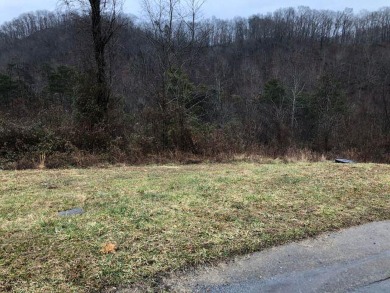 Here is the chance to build your home in the popular Deer Trace on Country Club of Bristol in Tennessee - for sale on GolfHomes.com, golf home, golf lot