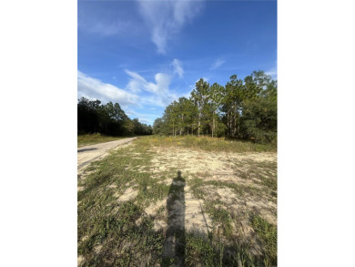 Oversized dream lot in growing Citrus Springs - almost an acre on Citrus Springs Country Club in Florida - for sale on GolfHomes.com, golf home, golf lot