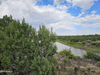 Look no further! Discover this unique find in the White on Juniper Ridge R.V. Golf Resort in Arizona - for sale on GolfHomes.com, golf home, golf lot