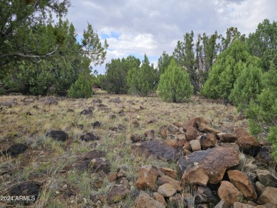 Look no further! Discover this unique find in the White on Juniper Ridge R.V. Golf Resort in Arizona - for sale on GolfHomes.com, golf home, golf lot