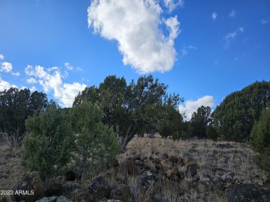 Look no further! Discover this unique find in the White on Juniper Ridge R.V. Golf Resort in Arizona - for sale on GolfHomes.com, golf home, golf lot