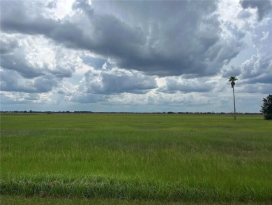 Build your ideal home on this stunning 0.26-acre lot located in on Spring Lake Golf Resort in Florida - for sale on GolfHomes.com, golf home, golf lot