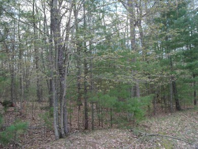 Nicely Wooded, Large Building Lot Located in a great location on Indian River Golf Club in Michigan - for sale on GolfHomes.com, golf home, golf lot