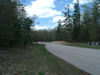 Nicely Wooded, Large Building Lot Located in a great location on Indian River Golf Club in Michigan - for sale on GolfHomes.com, golf home, golf lot
