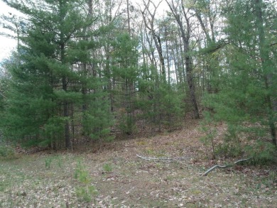 Nicely Wooded, Large Building Lot Located in a great location on Indian River Golf Club in Michigan - for sale on GolfHomes.com, golf home, golf lot