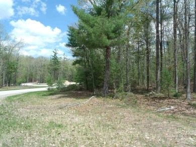 Nicely Wooded, Large Building Lot Located in a great location on Indian River Golf Club in Michigan - for sale on GolfHomes.com, golf home, golf lot