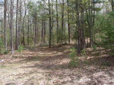 Nicely Wooded, Large Building Lot Located in a great location on Indian River Golf Club in Michigan - for sale on GolfHomes.com, golf home, golf lot