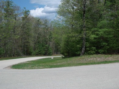 Nicely Wooded, Large Building Lot Located in a great location on Indian River Golf Club in Michigan - for sale on GolfHomes.com, golf home, golf lot