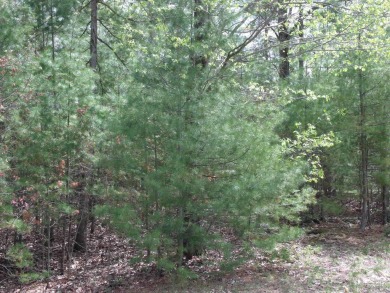 Nicely Wooded, Large Building Lot Located in a great location on Indian River Golf Club in Michigan - for sale on GolfHomes.com, golf home, golf lot