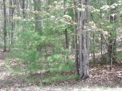 Nicely Wooded, Large Building Lot Located in a great location on Indian River Golf Club in Michigan - for sale on GolfHomes.com, golf home, golf lot