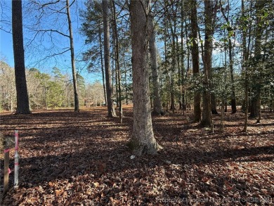 Welcome to an exceptional opportunity to build your dream home on Carolina Trace Country Club in North Carolina - for sale on GolfHomes.com, golf home, golf lot