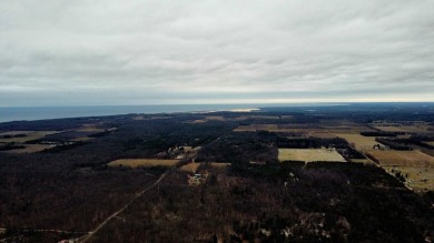 Enjoy the tranquil elevation spanning five acres, complete with on Benona Shores Golf Course in Michigan - for sale on GolfHomes.com, golf home, golf lot