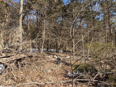 Love Holiday Island? Are you ready to dream big and plan your on Holiday Island Golf Course in Arkansas - for sale on GolfHomes.com, golf home, golf lot