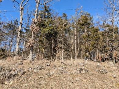 Love Holiday Island? Are you ready to dream big and plan your on Holiday Island Golf Course in Arkansas - for sale on GolfHomes.com, golf home, golf lot