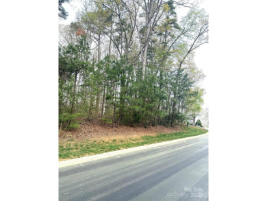 Discover the perfect setting for your forever home on this on Old North State Club at Uwharrie Point Golf community in North Carolina - for sale on GolfHomes.com, golf home, golf lot