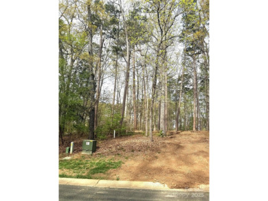 Discover the perfect setting for your forever home on this on Old North State Club at Uwharrie Point Golf community in North Carolina - for sale on GolfHomes.com, golf home, golf lot