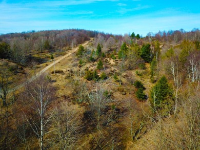 Four buildable acres between Maxey Rd and Lake Bluff Dr. in on Arcadia Bluffs Golf Club in Michigan - for sale on GolfHomes.com, golf home, golf lot