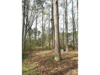 Discover the perfect setting for your forever home on this on Old North State Club at Uwharrie Point Golf community in North Carolina - for sale on GolfHomes.com, golf home, golf lot