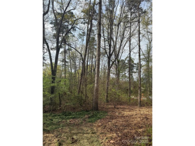 Discover the perfect setting for your forever home on this on Old North State Club at Uwharrie Point Golf community in North Carolina - for sale on GolfHomes.com, golf home, golf lot