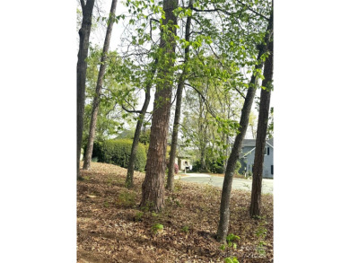 Discover the perfect setting for your forever home on this on Old North State Club at Uwharrie Point Golf community in North Carolina - for sale on GolfHomes.com, golf home, golf lot