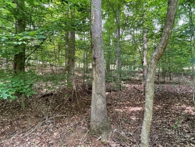 Build your dream home on this perfectly positioned lot along the on The Trail At Chickasaw Pointe in South Carolina - for sale on GolfHomes.com, golf home, golf lot