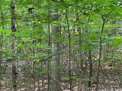 Build your dream home on this perfectly positioned lot along the on The Trail At Chickasaw Pointe in South Carolina - for sale on GolfHomes.com, golf home, golf lot
