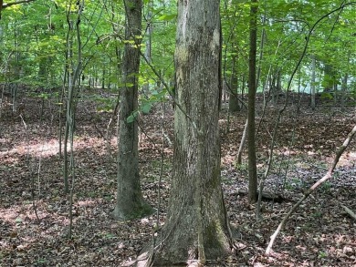 Build your dream home on this perfectly positioned lot along the on The Trail At Chickasaw Pointe in South Carolina - for sale on GolfHomes.com, golf home, golf lot