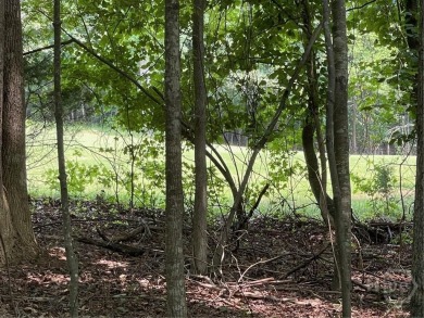 Build your dream home on this perfectly positioned lot along the on The Trail At Chickasaw Pointe in South Carolina - for sale on GolfHomes.com, golf home, golf lot