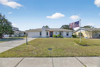 Welcome home to Sun City Center, recognized as being named the on North Lakes Golf Course in Florida - for sale on GolfHomes.com, golf home, golf lot