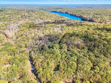 Welcome to 101 Blueridge Lane -- your private retreat in the on Lords Valley Country Club, Inc in Pennsylvania - for sale on GolfHomes.com, golf home, golf lot
