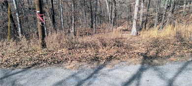 Location, location, location, two-minute ride to the Branchwood on Branchwood Golf Course in Arkansas - for sale on GolfHomes.com, golf home, golf lot