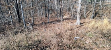 Location, location, location, two-minute ride to the Branchwood on Branchwood Golf Course in Arkansas - for sale on GolfHomes.com, golf home, golf lot