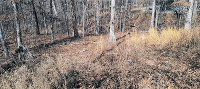 Location, location, location, two-minute ride to the Branchwood on Branchwood Golf Course in Arkansas - for sale on GolfHomes.com, golf home, golf lot