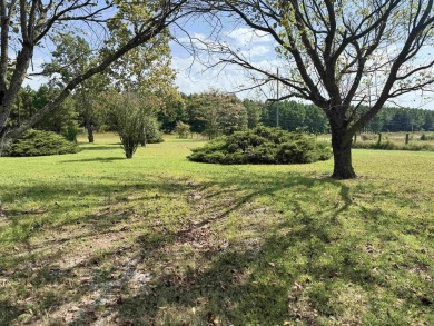 FOR SALE, A BEAUTIFUL REMODELED 3-bedroom, 2-bath brick home in on Coopers Hawk in Arkansas - for sale on GolfHomes.com, golf home, golf lot