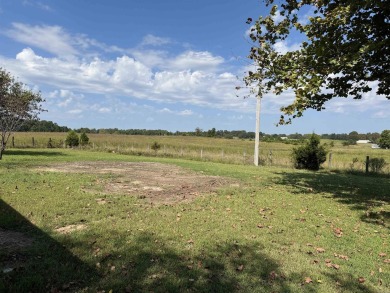 FOR SALE, A BEAUTIFUL REMODELED 3-bedroom, 2-bath brick home in on Coopers Hawk in Arkansas - for sale on GolfHomes.com, golf home, golf lot