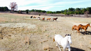 57 +/- acres of beautiful pasture, rolling hills, and hardwoods on Kirkwood National Golf Club in Mississippi - for sale on GolfHomes.com, golf home, golf lot