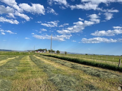 Lot 5: Build Your Dream Retreat - Rare Acreage in Prime on Montpelier Golf Course in Idaho - for sale on GolfHomes.com, golf home, golf lot