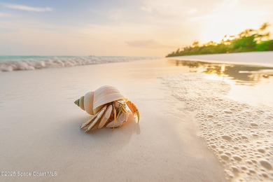 Welcome to Aquarina! This is the lowest priced townhome in the on Aquarina Beach and Country Club in Florida - for sale on GolfHomes.com, golf home, golf lot