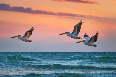 Welcome to Aquarina! This is the lowest priced townhome in the on Aquarina Beach and Country Club in Florida - for sale on GolfHomes.com, golf home, golf lot