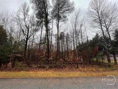 Lot 806 boasts an enviable location, on the 2nd hole of the on The Trail At Chickasaw Pointe in South Carolina - for sale on GolfHomes.com, golf home, golf lot