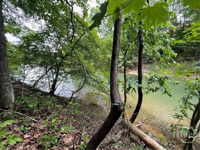 Don't miss this opportunity to build your dream home on a on The Trail At Chickasaw Pointe in South Carolina - for sale on GolfHomes.com, golf home, golf lot