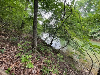 Don't miss this opportunity to build your dream home on a on The Trail At Chickasaw Pointe in South Carolina - for sale on GolfHomes.com, golf home, golf lot