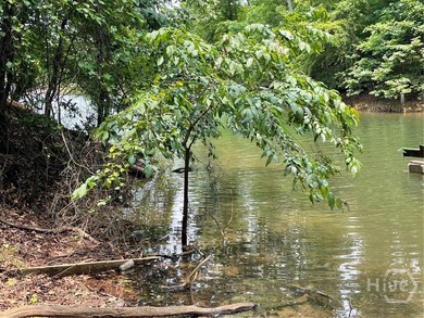 Don't miss this opportunity to build your dream home on a on The Trail At Chickasaw Pointe in South Carolina - for sale on GolfHomes.com, golf home, golf lot