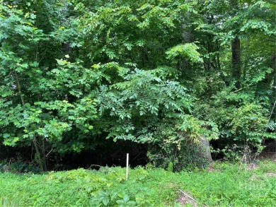 Don't miss this opportunity to build your dream home on a on The Trail At Chickasaw Pointe in South Carolina - for sale on GolfHomes.com, golf home, golf lot