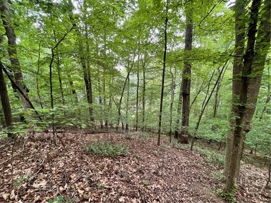 Don't miss this opportunity to build your dream home on a on The Trail At Chickasaw Pointe in South Carolina - for sale on GolfHomes.com, golf home, golf lot