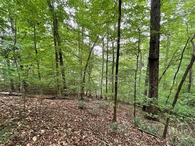 Don't miss this opportunity to build your dream home on a on The Trail At Chickasaw Pointe in South Carolina - for sale on GolfHomes.com, golf home, golf lot