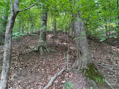 Don't miss this opportunity to build your dream home on a on The Trail At Chickasaw Pointe in South Carolina - for sale on GolfHomes.com, golf home, golf lot